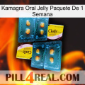 Kamagra Oral Jelly 1 Week Pack cialis5